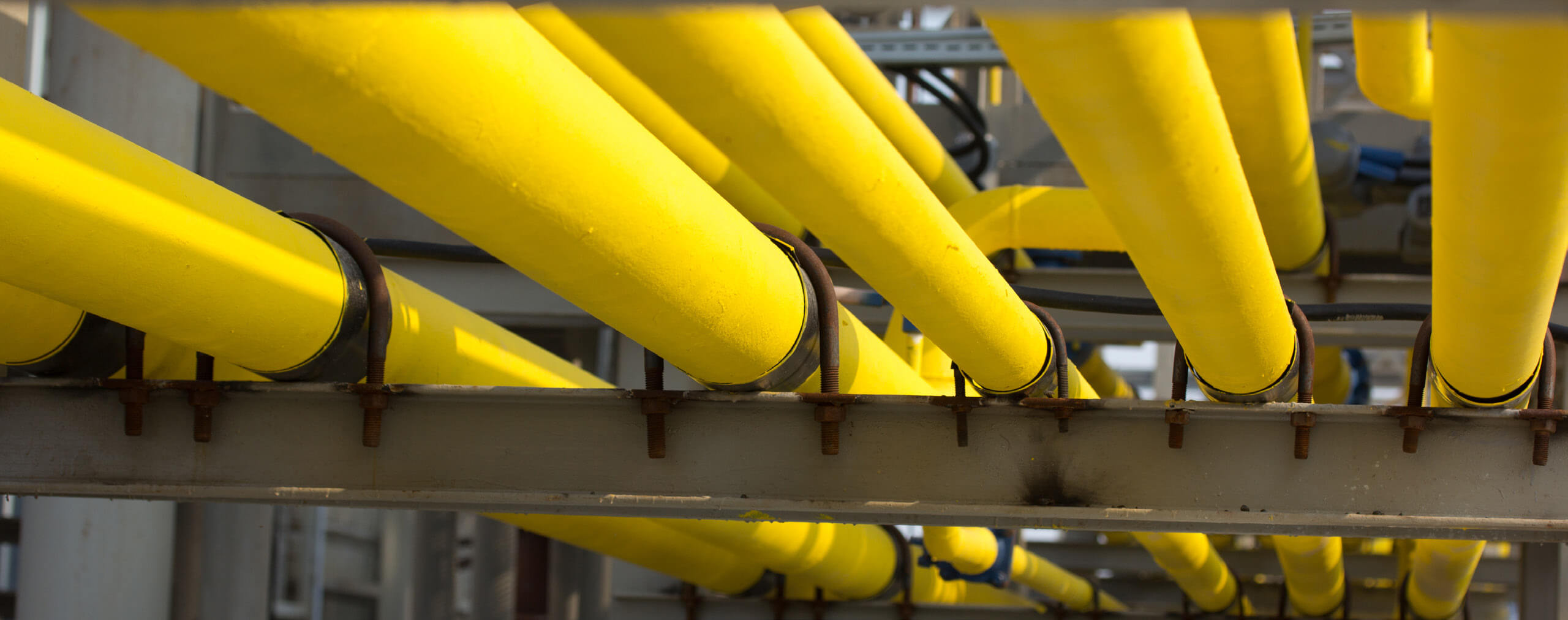 K1体育·(中国区)-十年品牌 值得信任