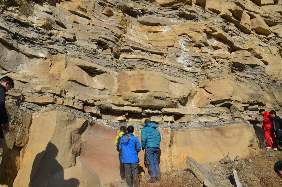 K1体育·(中国区)-十年品牌 值得信任