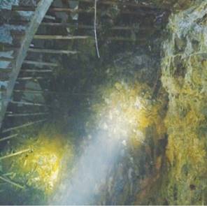 K1体育·(中国区)-十年品牌 值得信任