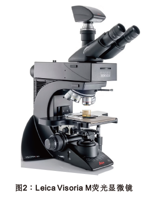 K1体育·(中国区)-十年品牌 值得信任