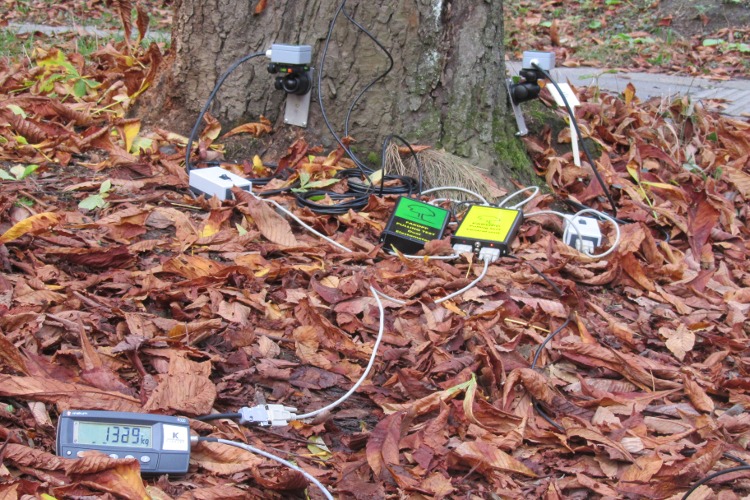 K1体育·(中国区)-十年品牌 值得信任